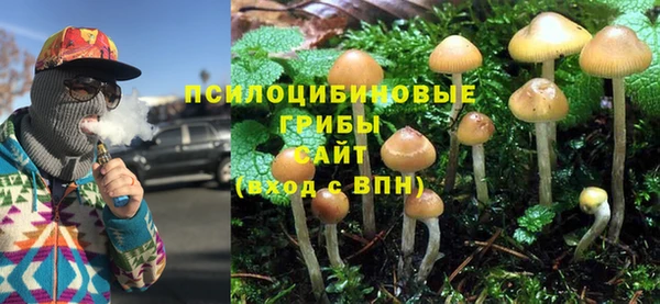 гидропоника Михайлов