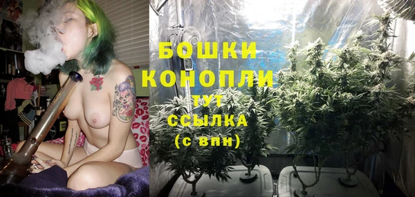 сатива Медногорск