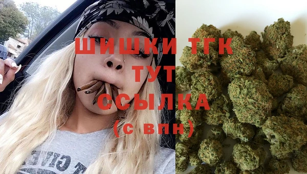 гидропоника Михайлов