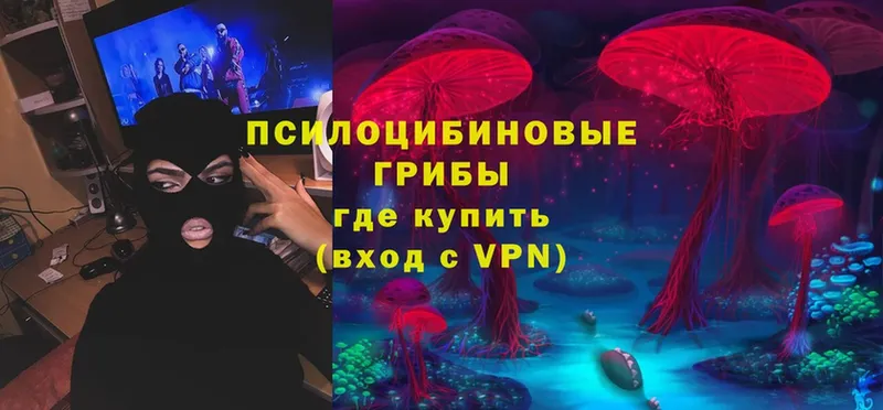 Псилоцибиновые грибы Psilocybe  Нариманов 