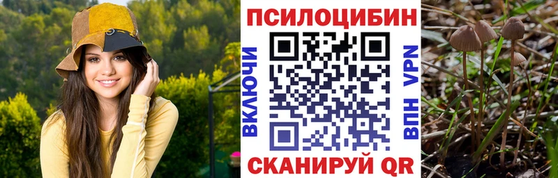 Галлюциногенные грибы GOLDEN TEACHER  Нариманов 